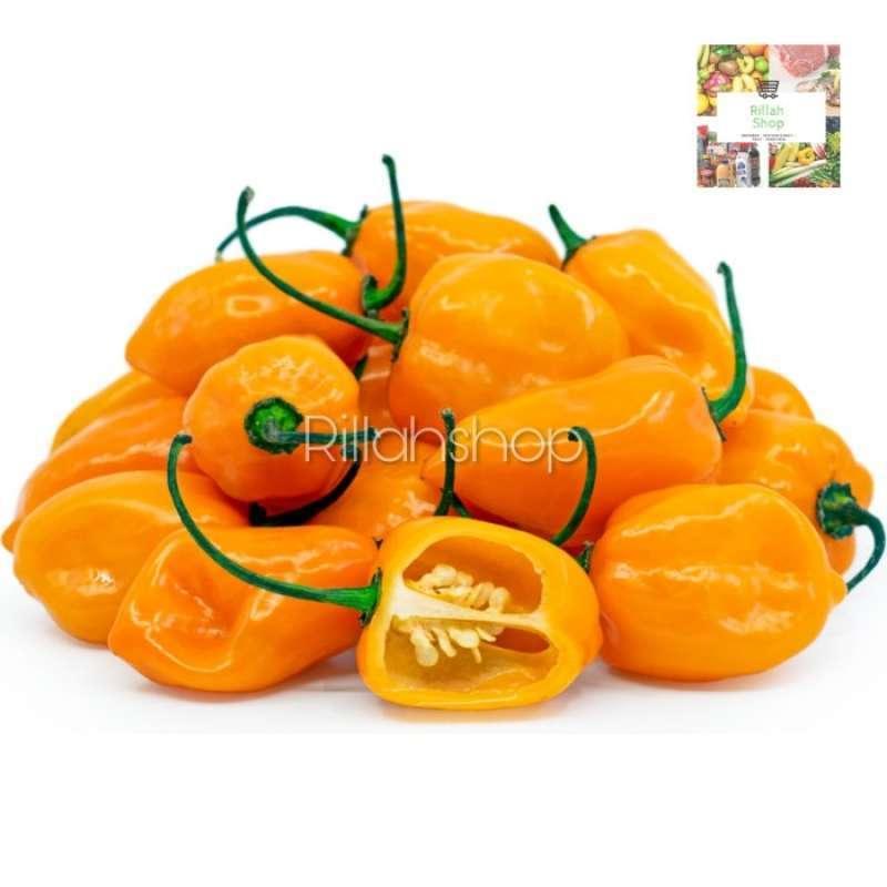 Beli Cabai Habanero Online untuk Sensasi Pedas yang Membara