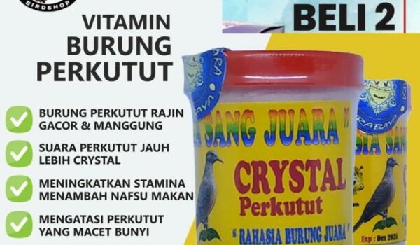 10 Agen Gacor Terbaik untuk Burung Kesayangan Anda