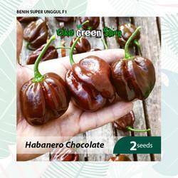 Beli Cabai Habanero Online untuk Sensasi Pedas yang Membara