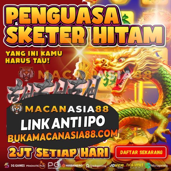 Temukan Agen Habanero Bagus untuk Keperluan Masakan Anda